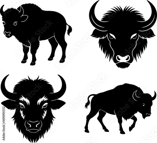 vector illustration of a buffalo