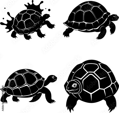turtle vector illustration