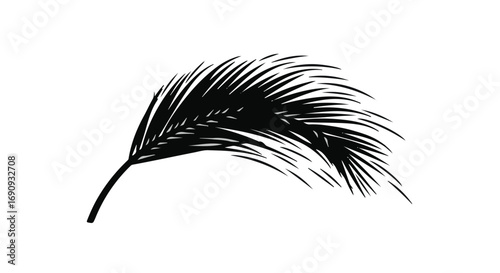 Delicate black feather gently blowing in the wind, symbolizing lightness and freedom