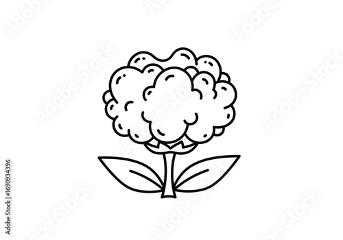 Whimsical line art illustration of a stylized cotton flower with leaves