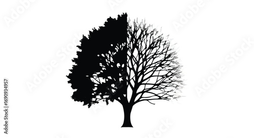 Tree split between lush green leaves and bare branches, symbolizing change and seasons
