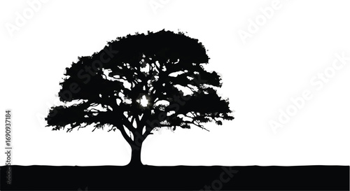 Majestic tree silhouette against a bright sky, casting a powerful presence