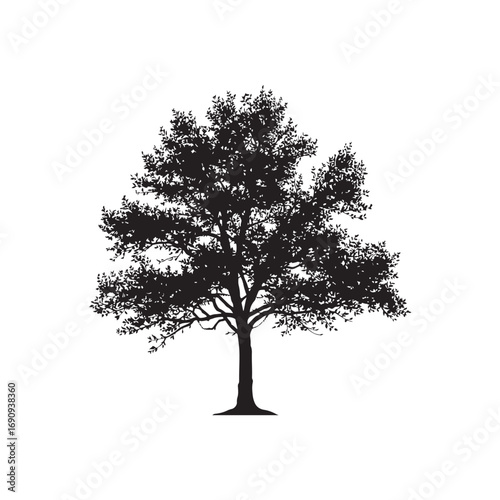 Alder Vector  (5).eps