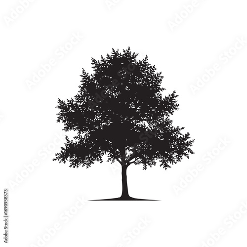 Alder Vector  (6).eps