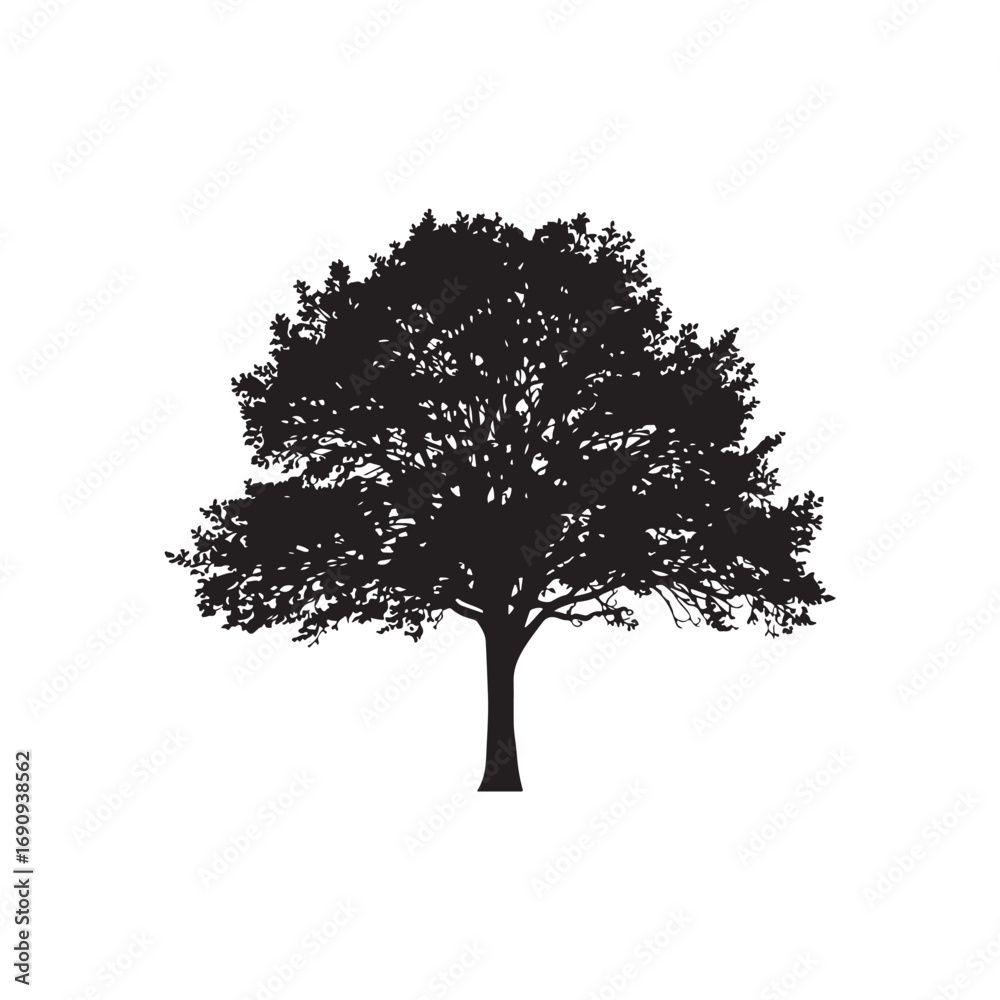 Fototapeta premium Ash Vector (6).eps