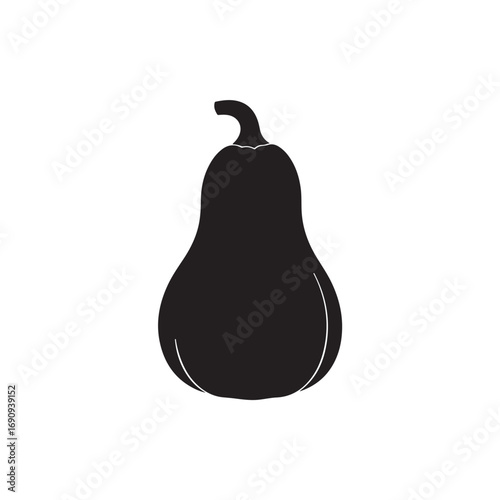 Butternut Vector (5).eps