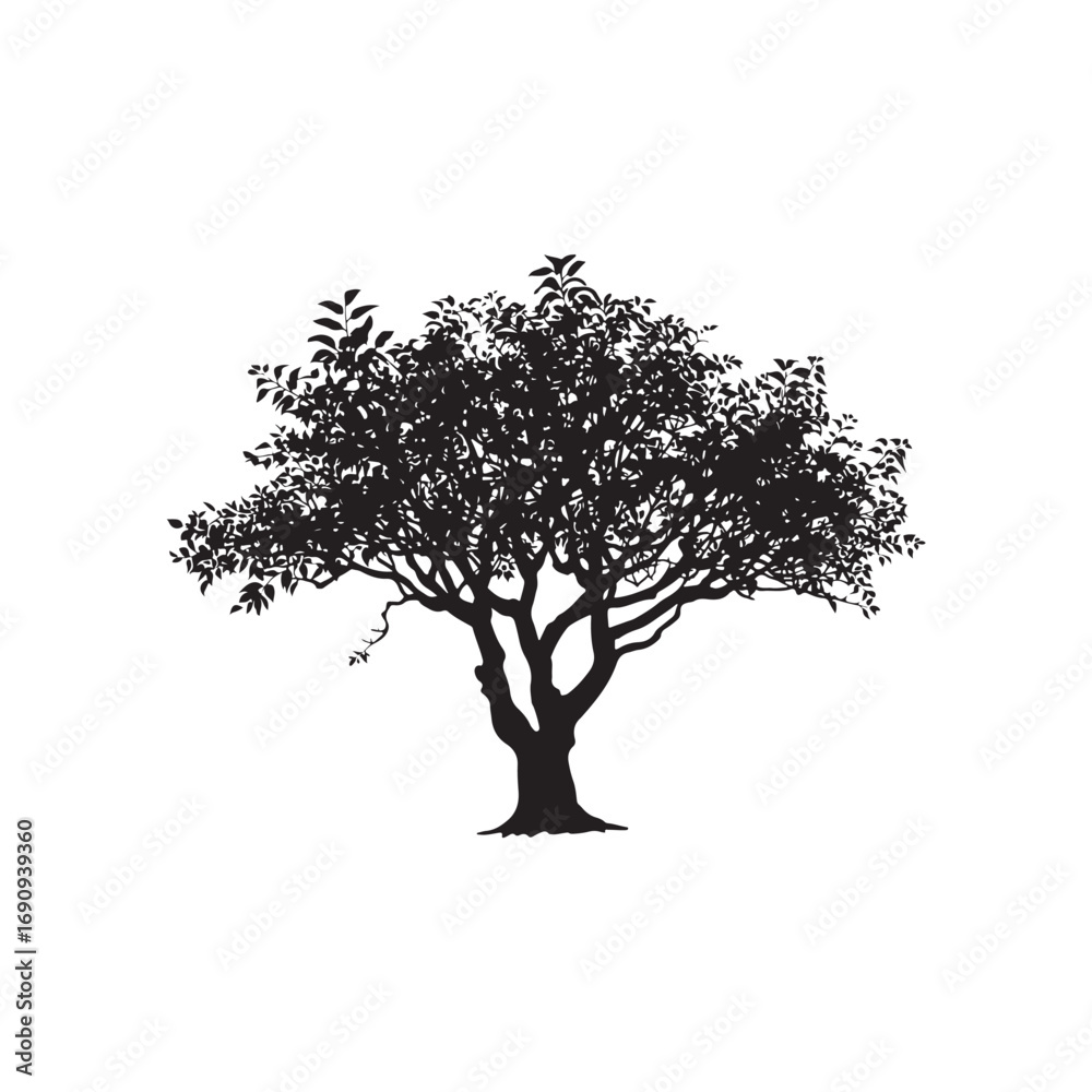 Fototapeta premium Catalpa Vector (5).eps