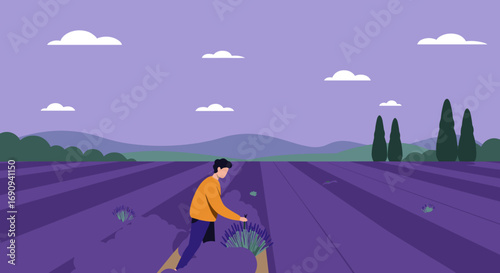 Man harvesting fragrant lavender in a picturesque field under a vast sky. Ideal for themes of agriculture, natural beauty, traditional work, and travel to scenic destinations.