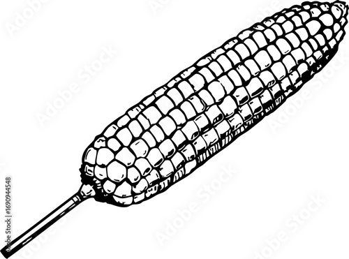 Harvesting sweet corn a farm event celebrating agriculture rural setting illustrated graphic vibrant colors nature's bounty