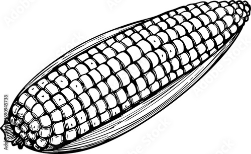 Harvesting fresh corn a culinary delight from farm fields food photography natural setting close-up perspective