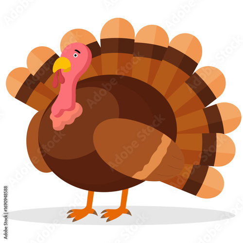 Thanksgiving or Christmas cartoon Turkey, Festive graphic element