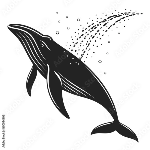 Whale spouting water