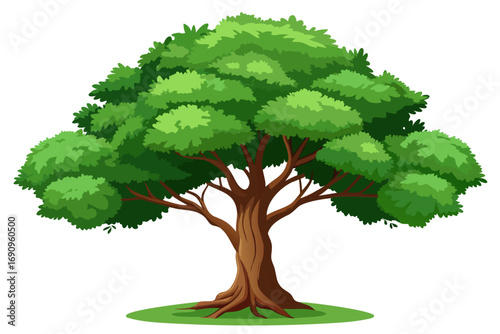 green tree isolated on white
