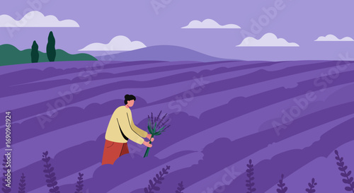 Person harvesting fresh lavender in a vibrant purple field, surrounded by mountains under a serene sky. Ideal for nature, aromatherapy, and rural lifestyle themes.