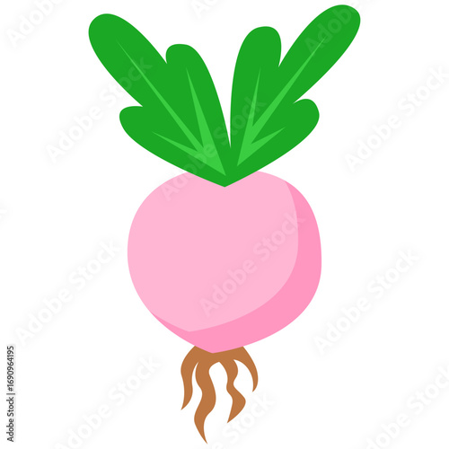 Radish Vegetable Icon