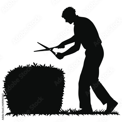 Gardener trimming hedge