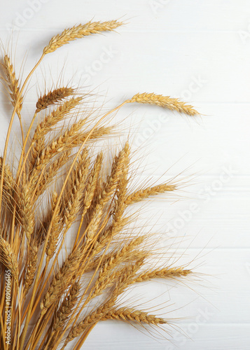 Spikelets of wheat and grains on a light background. Vertical photo format