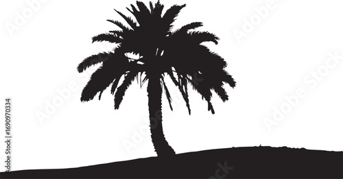 Silhouetted Palm Tree Against a Simple Landscape