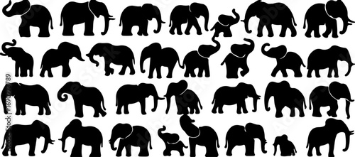 elephant, silhouette, animal, wildlife, mammal, large, grey, trunk, tusks, ear, herd, family, baby elephant, adult elephant, walking, standing, playful, african elephant, asian elephant, animal silhou