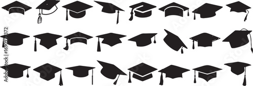 presented, headwear., caps, background., category:, mortarboard, ceremony, black, education, orientations., keywords:, tassel, commencement, rows, college, description:, different, lengths, white, dis