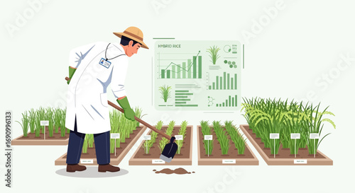 Agronomist conducting research on hybrid rice varieties with visual data analysis interface
