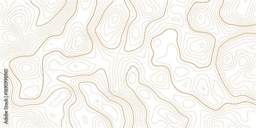 Topographic contour map. similarcartography illustration. Topography and geography map grid abstract backdrop. Business concept. Fish Fillet Texture, Salmon fillet texture