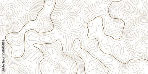 Topographic contour map. similarcartography illustration. Topography and geography map grid abstract backdrop. Business concept. Fish Fillet Texture, Salmon fillet texture