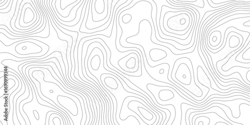 Topographic contour map. similarcartography illustration. Topography and geography map grid abstract backdrop. Business concept. Fish Fillet Texture, Salmon fillet texture