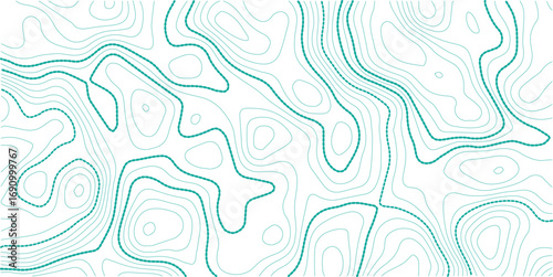 Topographic contour map. similarcartography illustration. Topography and geography map grid abstract backdrop. Business concept. Fish Fillet Texture, Salmon fillet texture