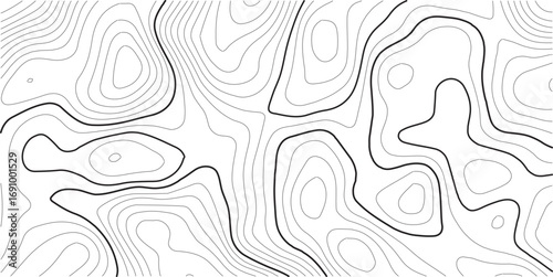 Travel and navigation, cartography design element. Vector illustration. Vector abstract Moon relief map. Generated conceptual lunar elevation map. Isolines of landscape surface elevation