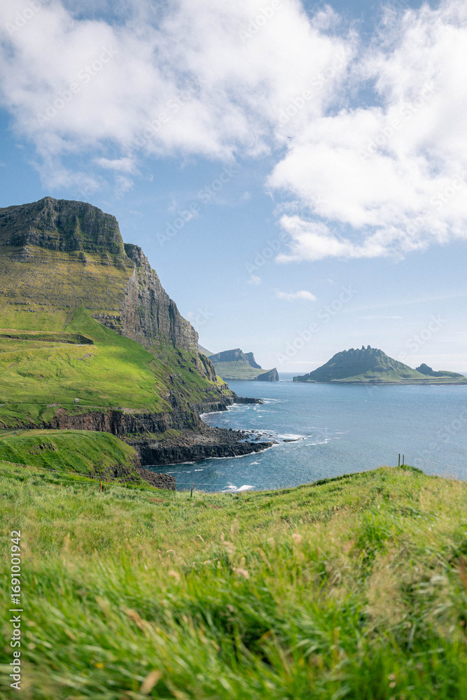 Fototapeta premium Cliffs and Ocean View with Wildflowers in Gásadalur, Faroe Islands