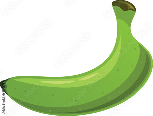Green banana fruit vector illustration