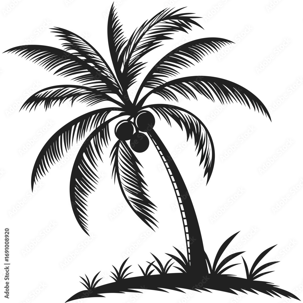 Obraz premium Palm tree with coconuts