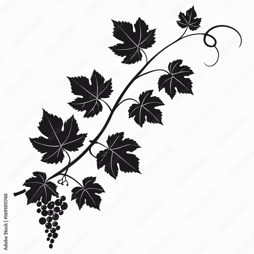 Obraz premium Vine plant climbing