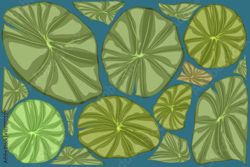 Wallpaper Mural background with lotus leaves in the lake Torontodigital.ca