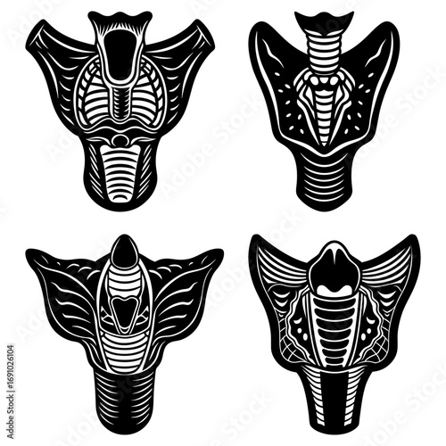 Four abstract black and white anatomical illustrations of the human larynx and trachea structures art