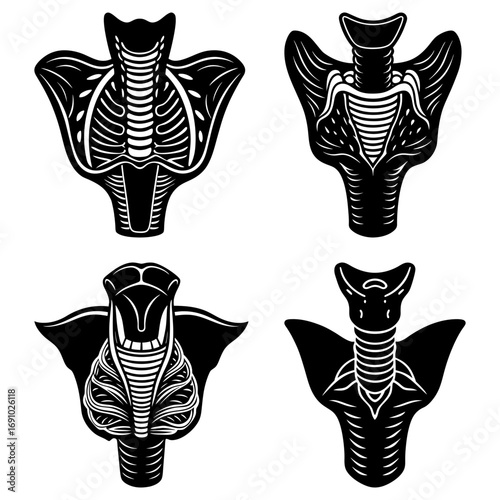 Four stylized cobra heads with detailed internal structures in black and white illustration art