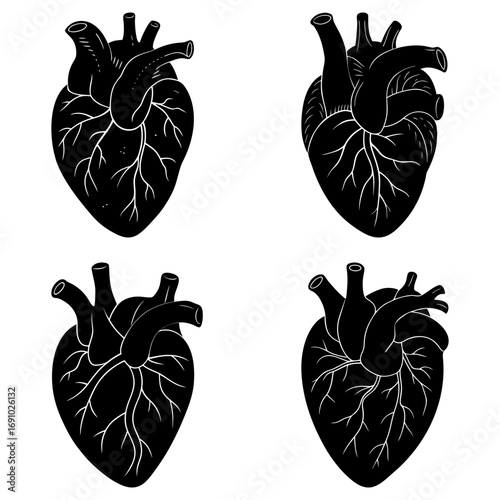 Anatomical heart illustrations in black and white showing veins and arteries in a repeating pattern design