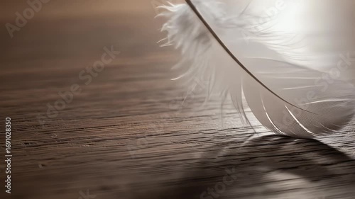 A single delicate white feather rests on a rustic wooden surface, illuminated by soft, warm backlighting.