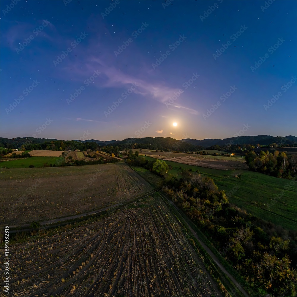Obraz premium Nighttime rural landscape, moonlit fields