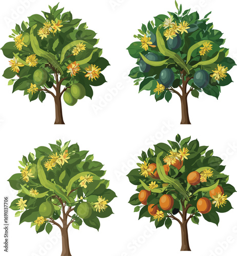 Fruit-bearing trees with green, purple, and orange fruits, yellow flowers, lush foliage, botanical illustration, agricultural plant identification, seasonal harvest, orchard farming