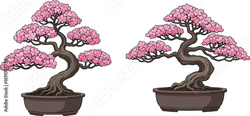 Pink blossom bonsai trees in decorative pots, artistic miniature tree cultivation, spring floral display, Japanese garden plant care, ornamental horticulture, blooming branches