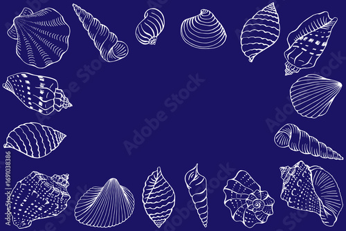Seashells with copy space for design or message. Hand drawn illustration.