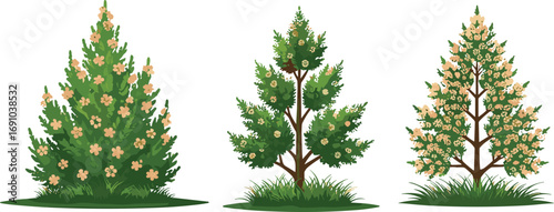 Flowering tree vector illustration, botanical plant silhouette, spring blossom garden design, seasonal nature clipart, decorative landscape element, pink and white floral foliage art