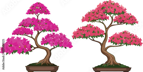 Pink azalea bonsai tree, flowering bonsai plant, twin bonsai display, ornamental miniature trees, twisted trunk bonsai, blooming bonsai art, decorative indoor plants, floral beauty