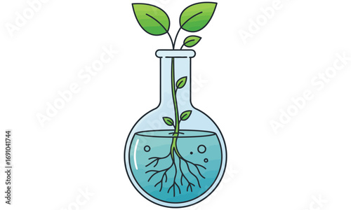 Green plant growing in a glass test tube for science and ecology concept