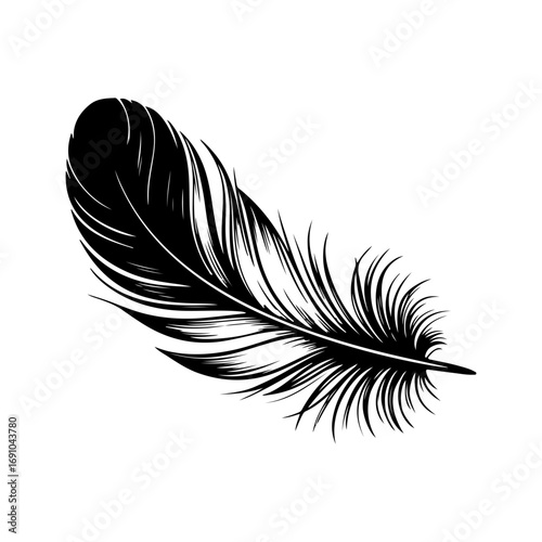 Single black feather silhouette with detailed texture isolated on for design projects vector