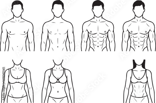 Stylized Line Art of Male and Female Torso Body Types and Muscle Definition