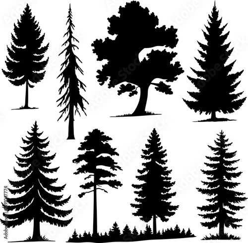 Stylized Evergreen Tree Icons Collection