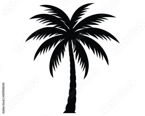 Palm Tree Silhouette Tropical Design Element
